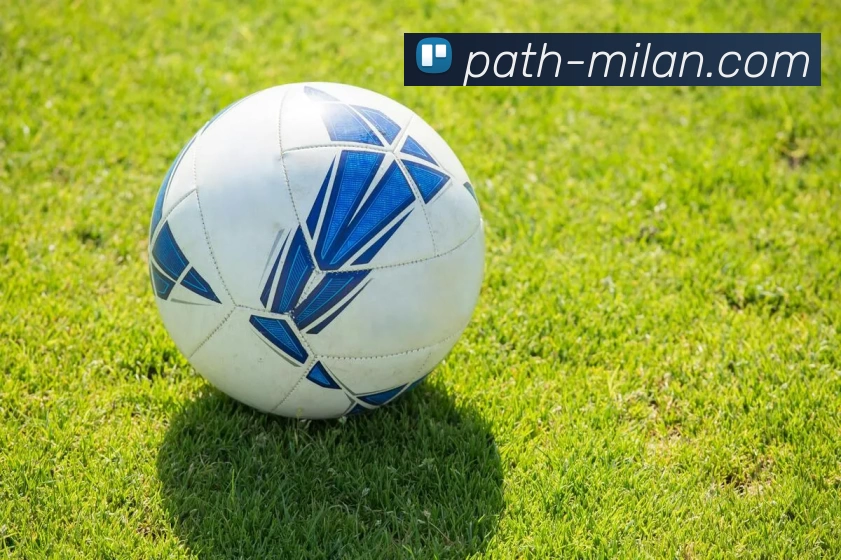 米兰体育官网平台生态图